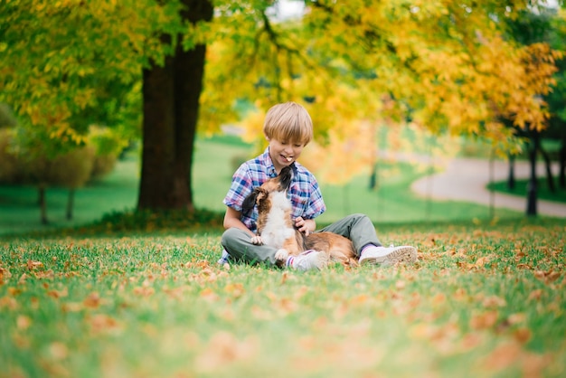 Menino bonito, brincando e andando com seu cachorro no pasto.