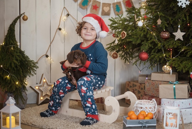 Foto menino bonito com chapéu de papai noel e cachorrinho bassê na sala perto da árvore de natal