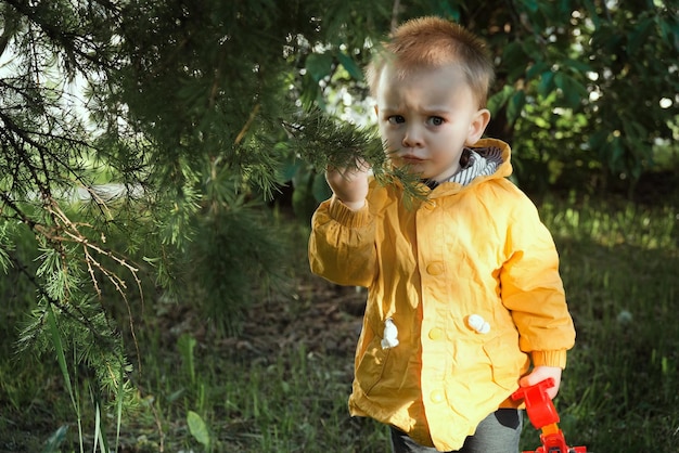 Menino bonito da criança fazendo caretas tocando galho de árvore Garoto caminhando ao ar livre na primavera