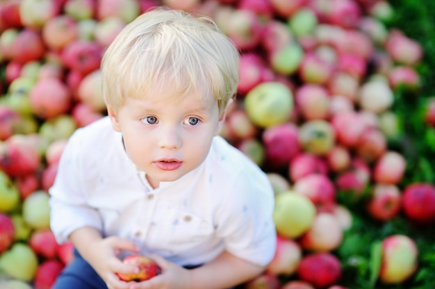 Menino bonito da criança sentada na pilha de maçãs e comendo maçã madura no jardim doméstico