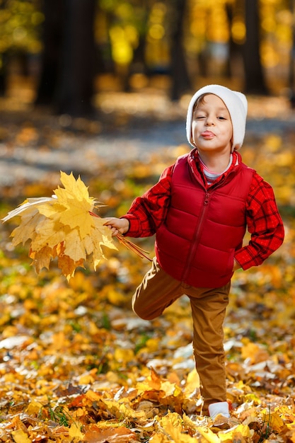 Menino bonito, feliz, branco na camisa vermelha, sorrindo e brincando com um buquê de folhas amarelas. criança se divertindo no parque outono. conceito de infância feliz, folhas caem