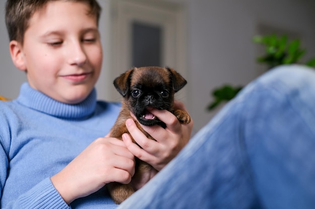 Menino brincando com cachorrinho. Criança brinca com cachorro em casa. Garotinho e cachorro griffon ou brabanson