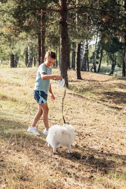 Menino brincando com cachorrinho doméstico no parque ao ar livre Filhote de Pomerânia branco Criança andando e treinando cachorro na coleira na floresta no verão