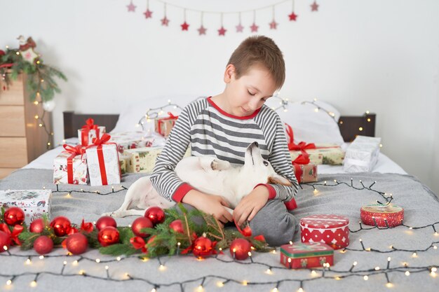 menino brincando com cachorro jack russell em uma cama com decoração de ano novo