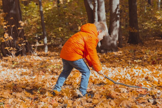 Menino brincar com pau e folhas caídas na floresta em dia de outono. Temporada de outono, infância e conceito de jogos ao ar livre.