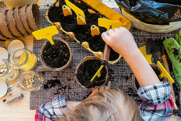 Menino coloca marcadores e assina a vista superior das plantas plantadas