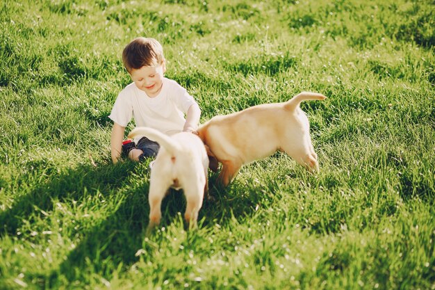 Menino com cães