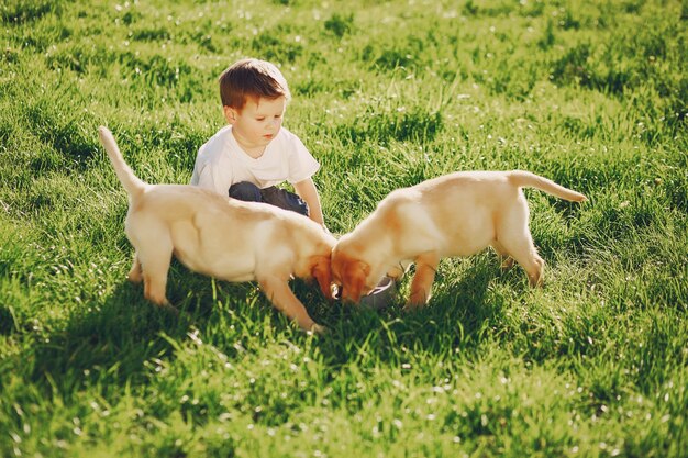 Menino com cães