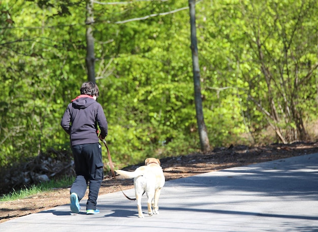 Menino com cão a caminhar na estrada contra as árvores