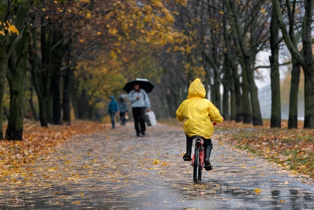 Menino com capa de chuva amarela anda de bicicleta ao longo do beco de um parque de outono. Visão traseira
