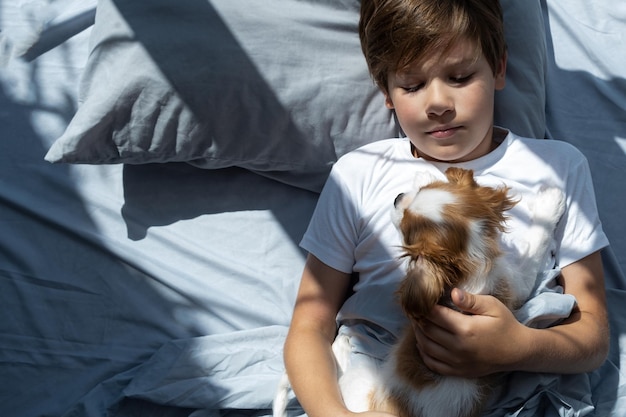 Menino com um cachorro deita na cama de manhã Durma com animais de estimação cachorrinho fofo rei charles spaniel