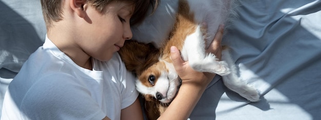 menino com um cachorro em um abraço está deitado na cama dormir com animais de estimação cachorrinho fofo cavaleiro rei charles spaniel