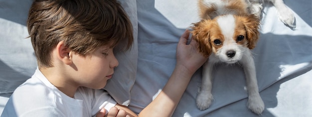 menino com um cachorro em um abraço está na cama dormir com animais de estimação cachorrinho fofo cavalier king charles spaniel