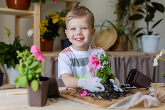 menino com uma loira plantando ou transplantando plantas caseiras Ajudante nas tarefas domésticas estilo de vida