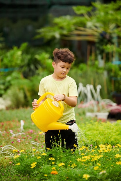 Menino cuidando de plantas