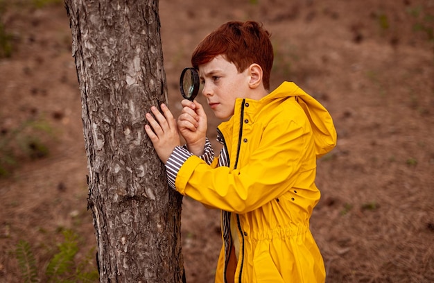 Menino curioso com lupa explorando a árvore na floresta