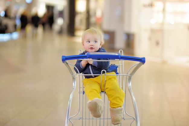 Menino da criança europeia sentado no carrinho de compras