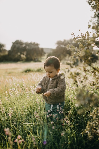 Foto menino de pé pela planta no campo