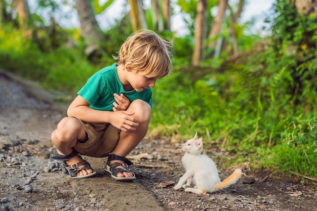 Menino e gatinho brincando lá fora