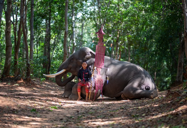 Menino em traje tradicional e elefante sentado na floresta