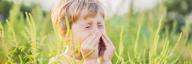 Menino espirra por causa de uma alergia ao formato longo de banner de ambrósia