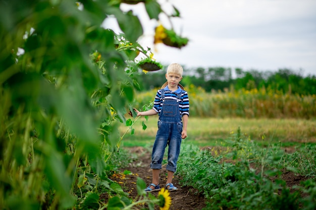 Menino feliz em um campo com girassóis no verão