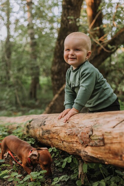 Menino fofo e charmoso se levanta e segura o tronco e o bassê no fundo de uma floresta verde