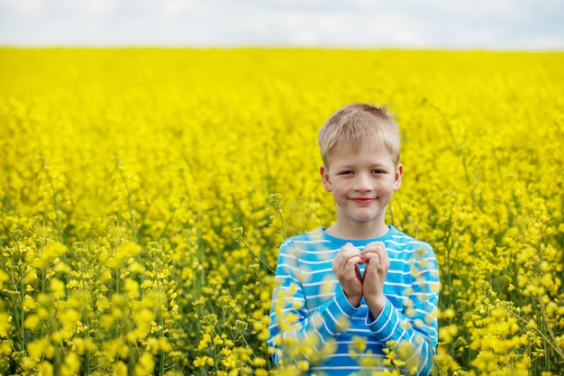 Menino jovem, em, um, campo, de, amarelo floresce