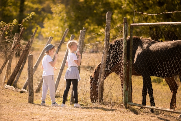 Menino loiro e menina na fazenda com cavalos selvagens