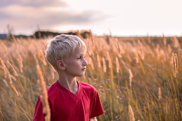 Menino loiro em um campo com espigas de grama ao pôr do sol, olhando para longe