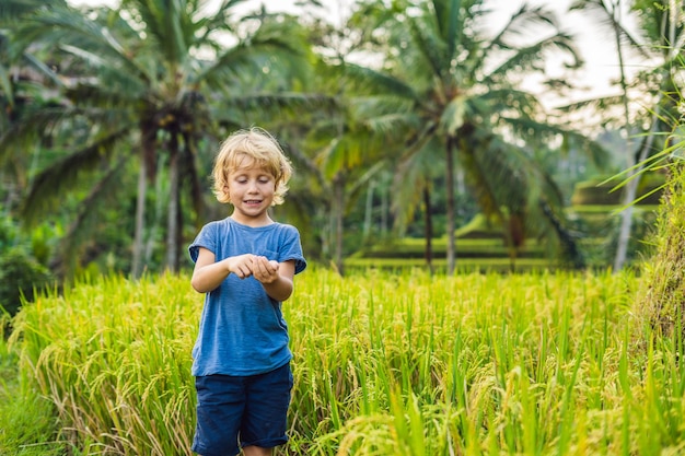 Menino na plantação de campo de arroz em cascata verde no terraço de Tegalalang. Bali, Indonésia Viajando com o conceito de crianças. Ensinando as crianças na prática