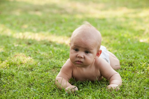 Menino nu de fralda aprendendo a engatinhar na grama verde