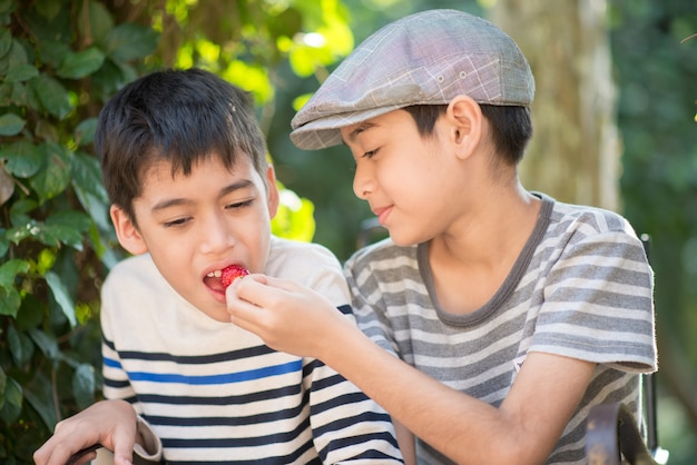 Menino pequeno irmão comendo e lutando enquanto come morango