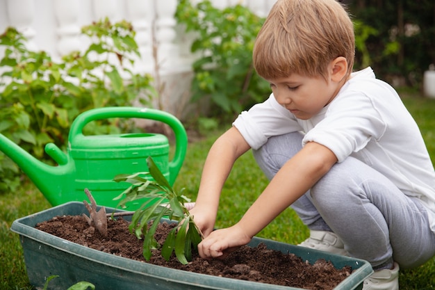 Menino plantando plantas verdes