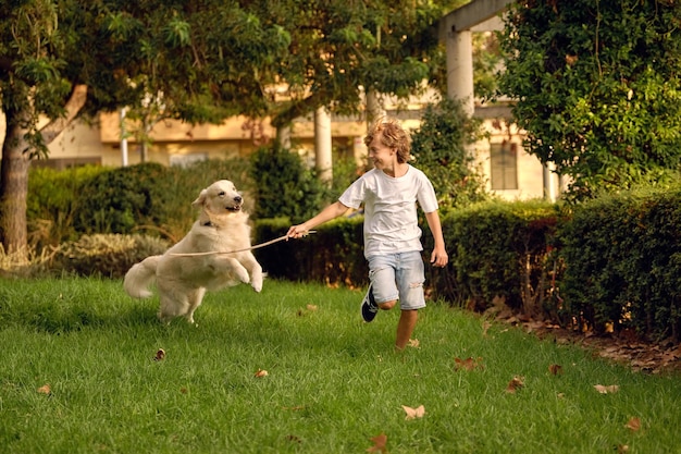 Menino pré-adolescente encantado com vara de madeira correndo ao longo do prado e brincando com cachorro Golden Retriever num dia de verão no parque