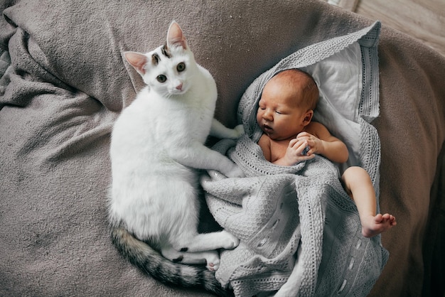 Menino recém-nascido dormindo com um gato