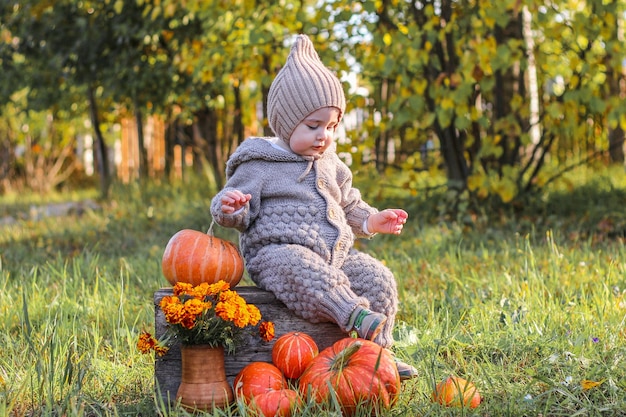Menino senta-se ao lado de abóboras em um dia ensolarado de outono. Tempo da família para Ação de Graças e Halloween