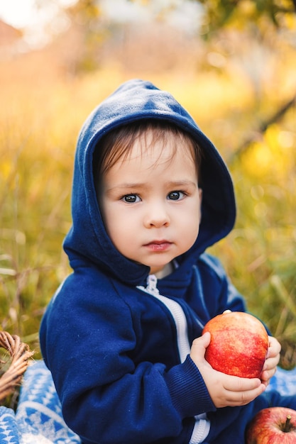 Menino sorridente em um pomar de maçã senta e segura uma maçã Crianças colhem frutas da macieira Crianças brincando no jardim de outono Temporada de colheita