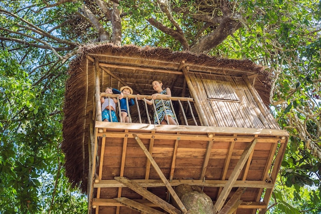 Meninos em uma casa na árvore Infância feliz