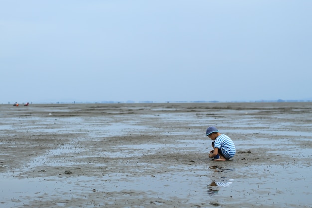Meninos que procuram conchas do caracol na lama do assoalho de mar no lote de Don Hoi no songkham de Samut.
