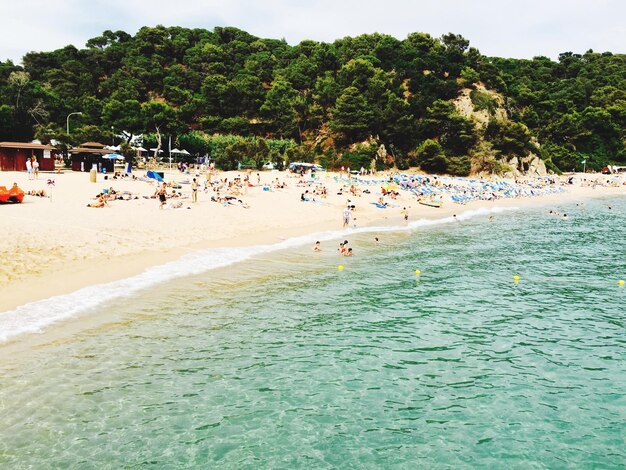 Foto menschen am strand