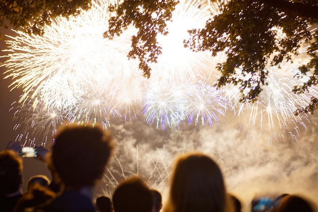 Menschen beobachten nachts das Feuerwerk