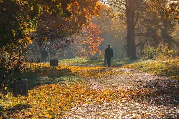 Menschen, die durch den Herbstpark der Sonne entgegengehen.