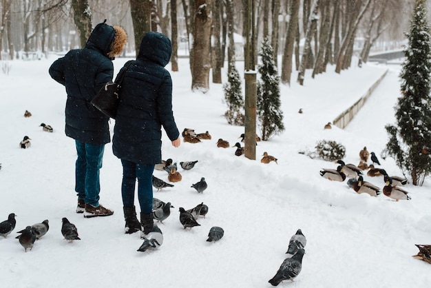 Menschen, die eine Gruppe von Enten im Winterpark füttern. Tierthema.