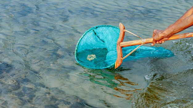 Menschen fangen Fische, die an der Wasseroberfläche schwimmen, weil sie vergiftet sind