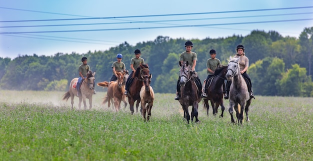 Menschen galoppieren auf Pferden im Feld. Grünes Gras und Hintergrund des blauen Himmels. Freiheit Konzept.