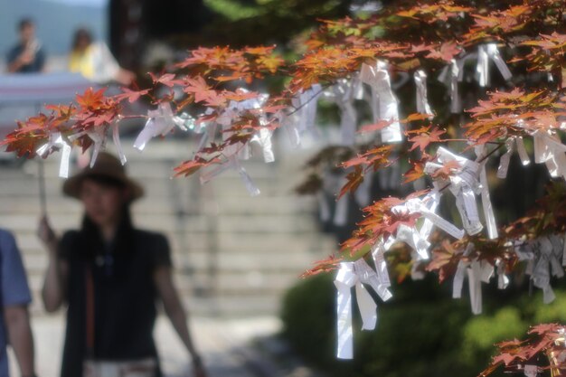 Foto menschen in der stadt im herbst