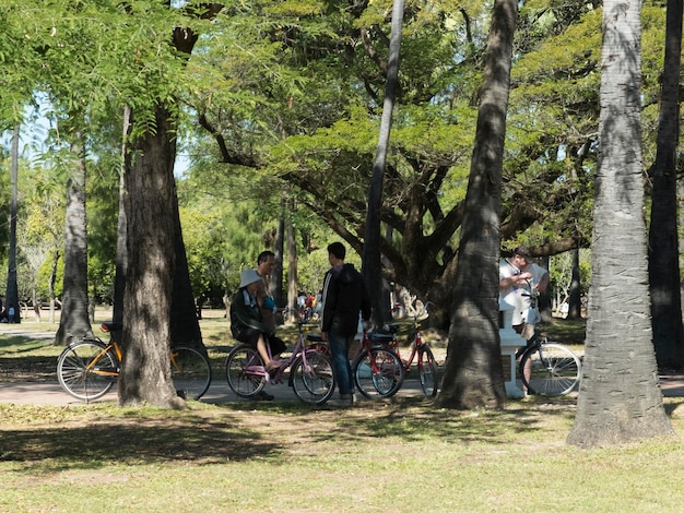 Foto menschen inmitten von bäumen im park
