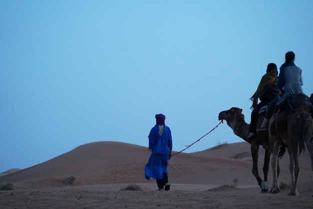 Menschen reiten auf Kamelen in der Sahara-Wüste gegen einen klaren blauen Himmel