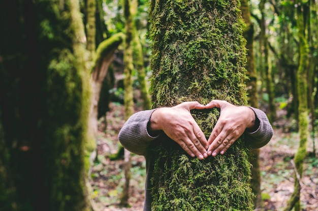 Menschenhände umarmen grünen Baumstamm im Wald und tun Erdzeichen Symbol für Umwelt und Natur lieben Konzept Lebensstil Entwaldung Outdoor-Menschen Freizeitaktivitäten im Park Reisen